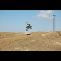 Trevor Davis