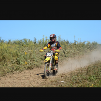 Davis Silves