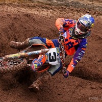 Nico Stepan