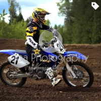 Scott Mitchinson