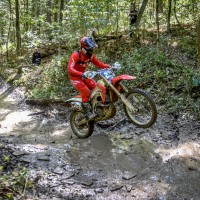Austin Hanley