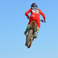 Shelby Ward