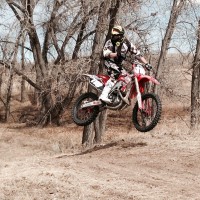 Levi Collison