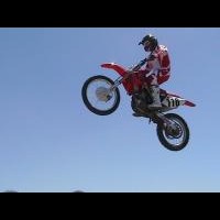 Brandon Rains