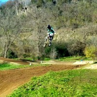 Kendall Biever