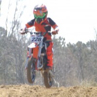 Fisher  White