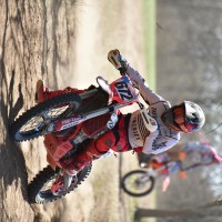 Trevor Simmons