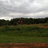 zeke wilson