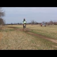 Austin Williams