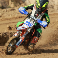 Trace Palmer