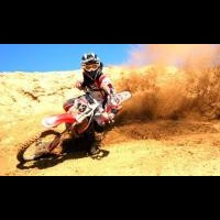 justin morgan