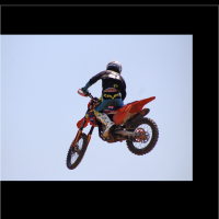 Austin Nicholson