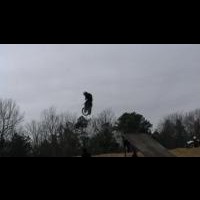 Jarett Ercolani