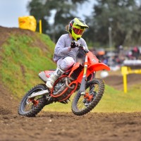 JOSH CARSON