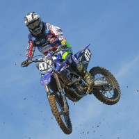 ANDREA TAGLIATINI