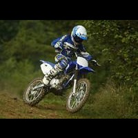 Adam Steele