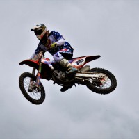 Matt Treen