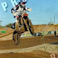 Nick Palladino