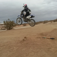 Miles  Avila