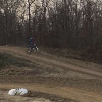 Tyler  Adams