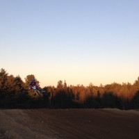 Tyler Cox