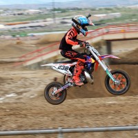 Grady Crockett