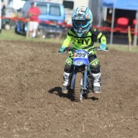 Sawyer  riley