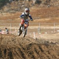 preston white