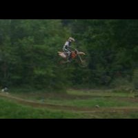 Cody Willows