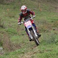 David Swanson
