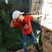 Cayden Brookshire