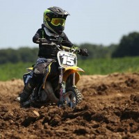 Blake Hollesh