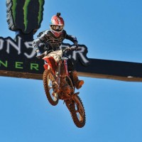 Frederico Rocha