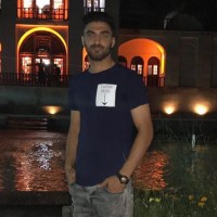 ali rezaiee