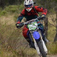 Carlos Pellitero
