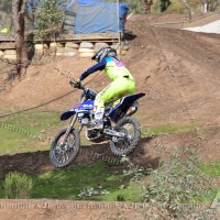 Reece Atteridge Atteridge