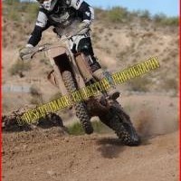 Justin D'Amico