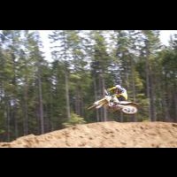 bryce adams