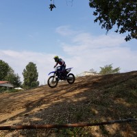 davide caresia