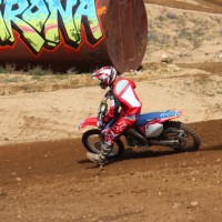 Robert Riess