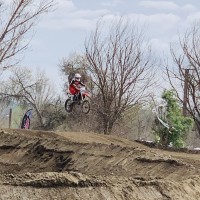 Seth Delucco