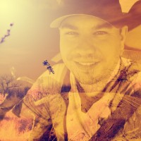 dennis stout