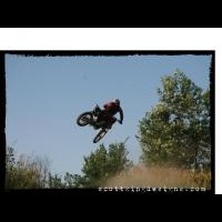 Andy Lauzon