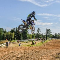 Scott Roy Roy