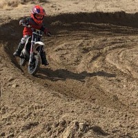 Carter Gibson