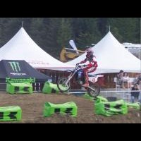 Quinn Korol