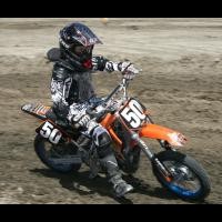nick luisi
