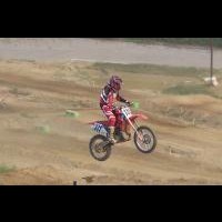 tim taylor