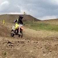 Kyle  Lingle
