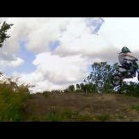 Austin hennen
